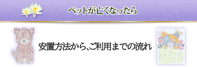 ペットが亡くなったら 安置法から、ご利用までの流れ